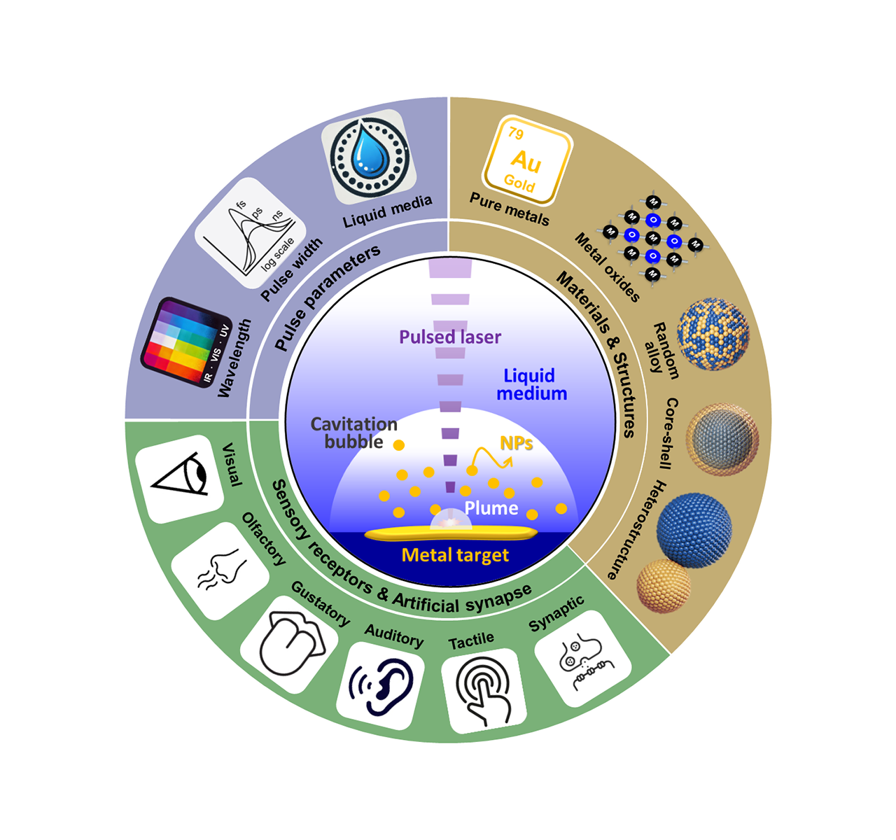 박성준 교수팀, 빛 활용 고순도 금속 나노입자 대량 생산 전략 제시